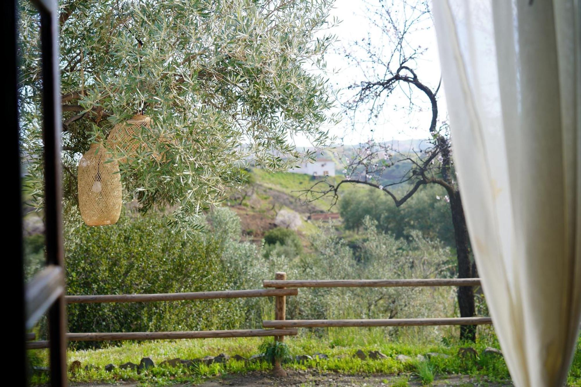 Cortijo Lagar De Luisa Konuk evi Borge Dış mekan fotoğraf