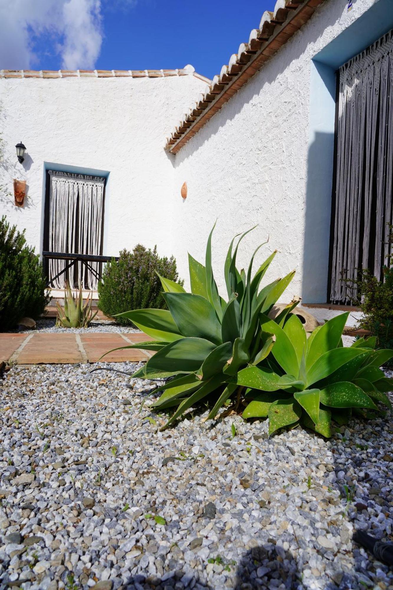 Cortijo Lagar De Luisa Konuk evi Borge Dış mekan fotoğraf