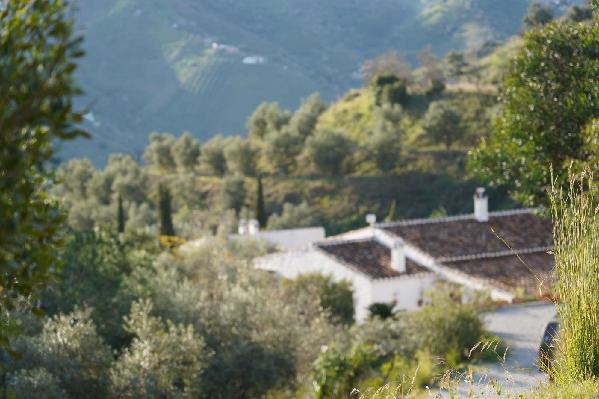 Cortijo Lagar De Luisa Konuk evi Borge Dış mekan fotoğraf