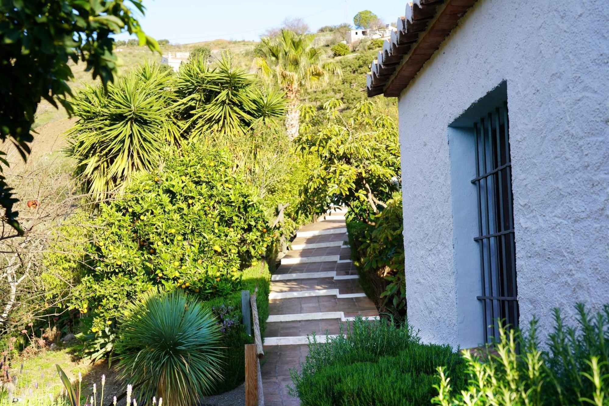 Cortijo Lagar De Luisa Konuk evi Borge Dış mekan fotoğraf