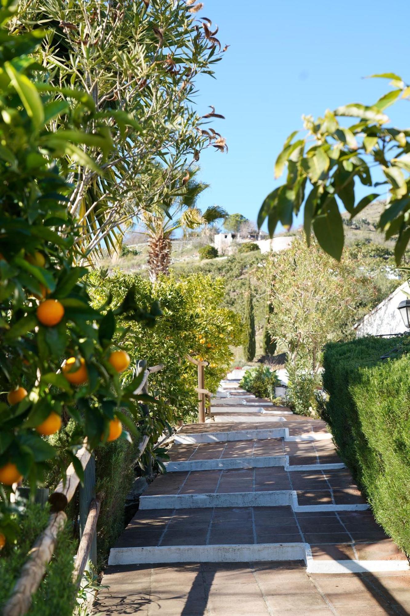 Cortijo Lagar De Luisa Konuk evi Borge Dış mekan fotoğraf