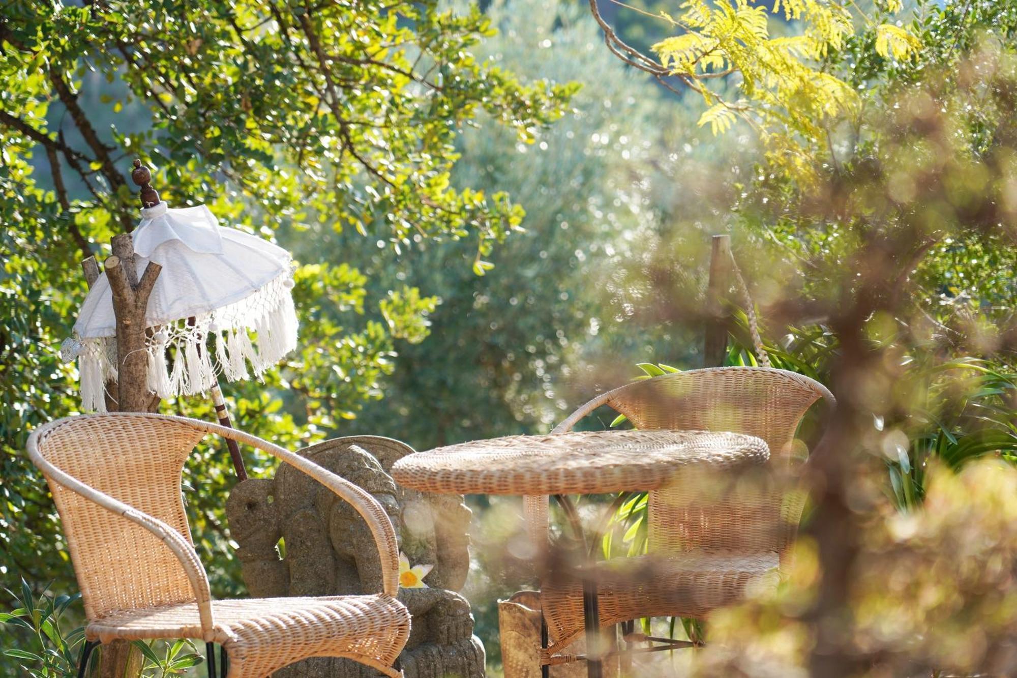 Cortijo Lagar De Luisa Konuk evi Borge Dış mekan fotoğraf