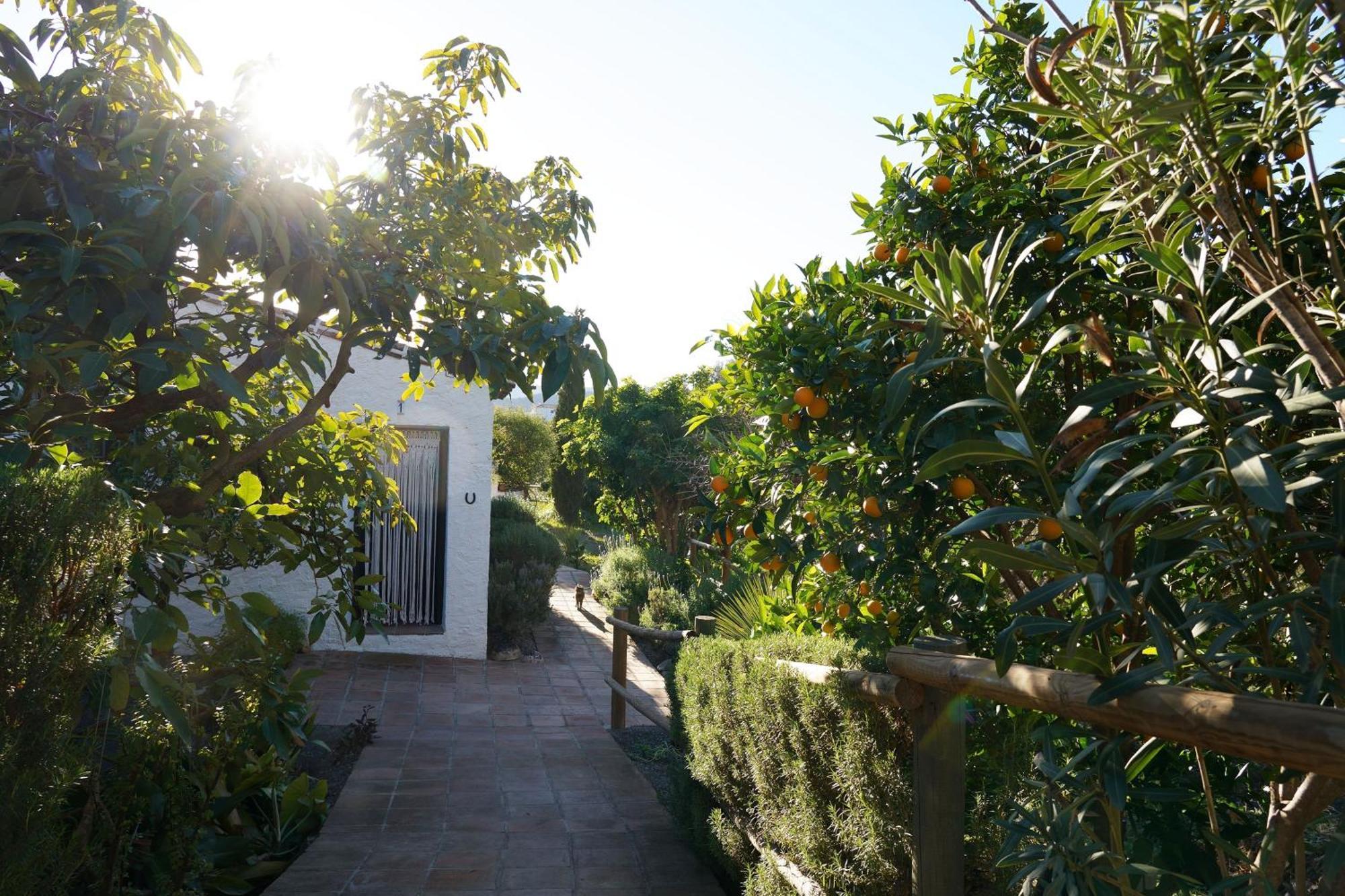Cortijo Lagar De Luisa Konuk evi Borge Dış mekan fotoğraf