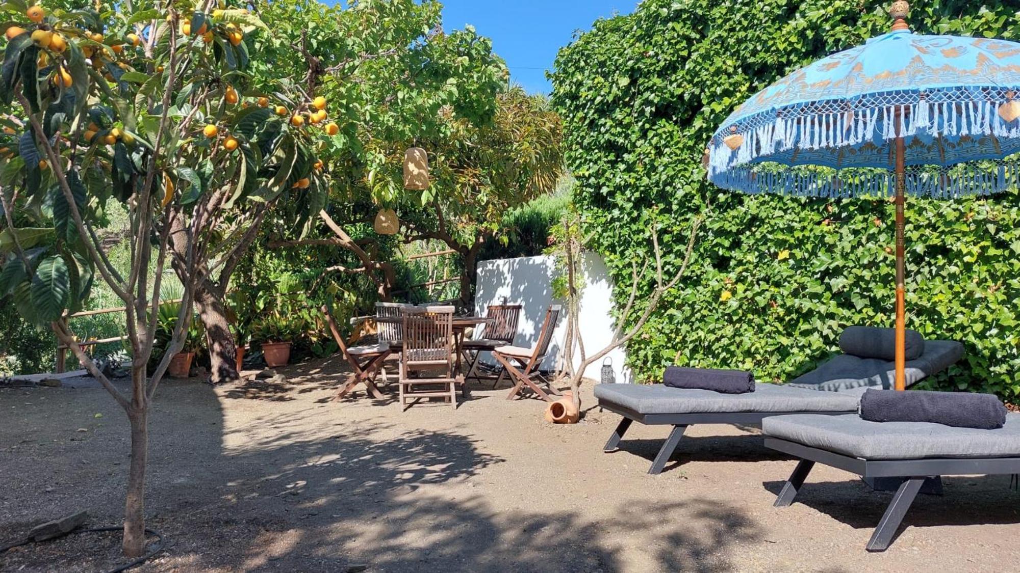 Cortijo Lagar De Luisa Konuk evi Borge Dış mekan fotoğraf