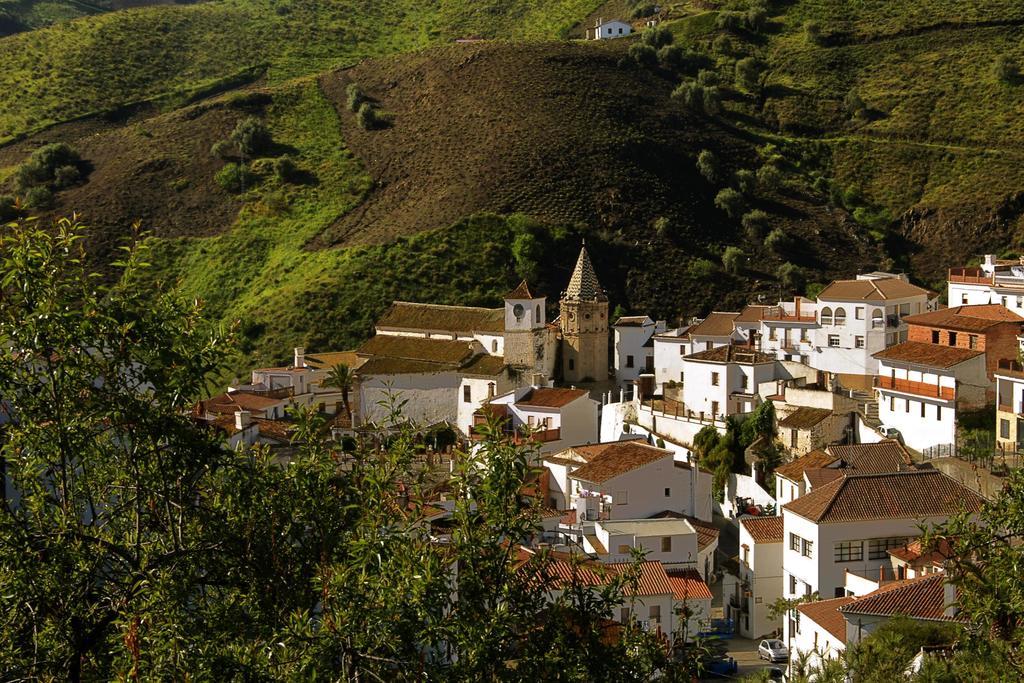Cortijo Lagar De Luisa Konuk evi Borge Dış mekan fotoğraf