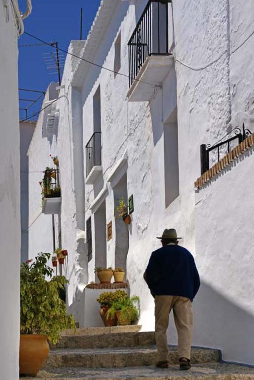 Cortijo Lagar De Luisa Konuk evi Borge Dış mekan fotoğraf